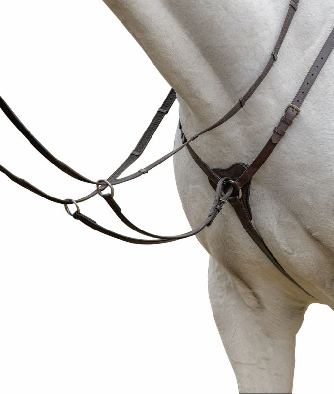 Shires Avignon 3 Point Breastplate