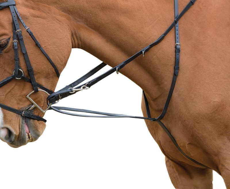 Shires Avignon German Martingale