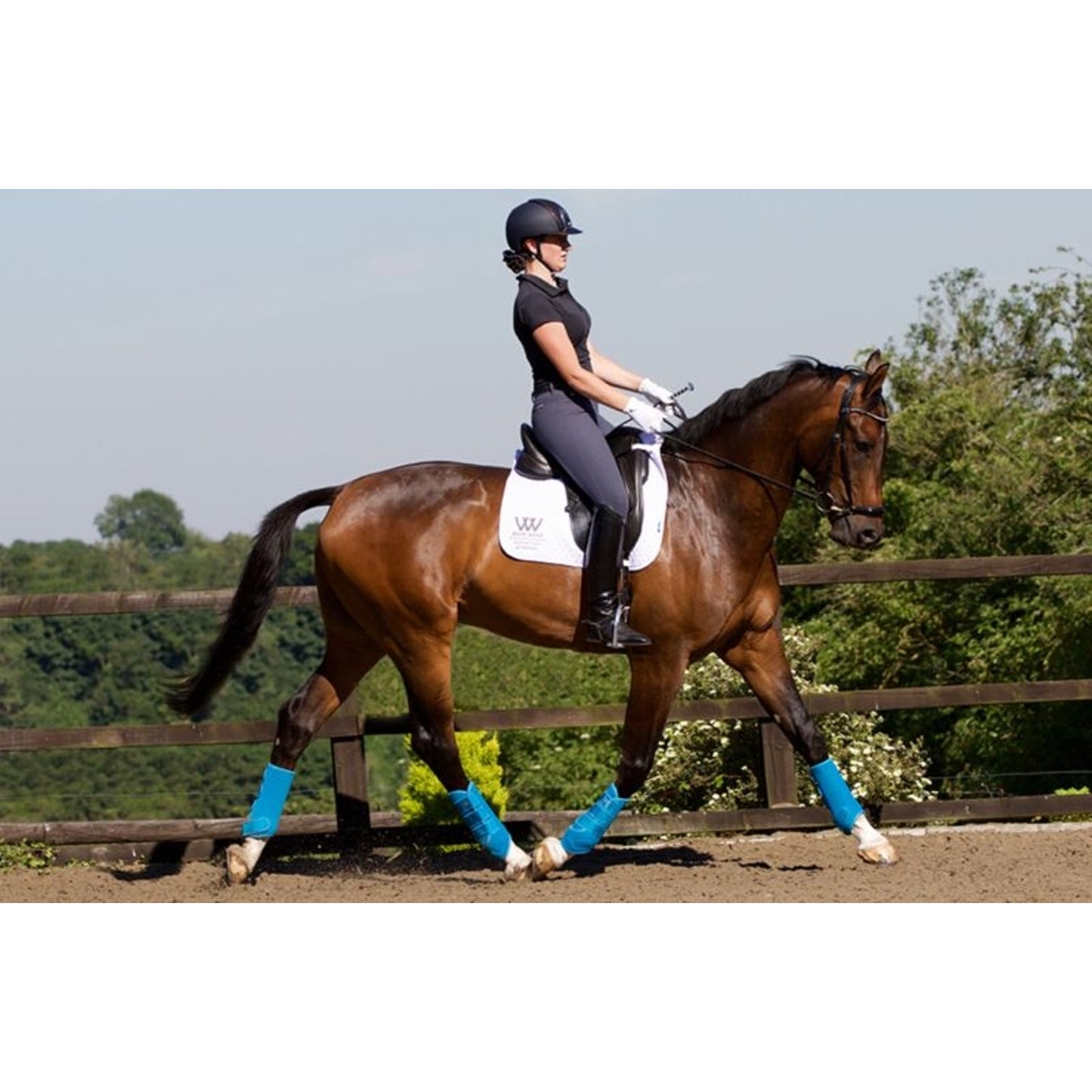TE025304_on_horse.jpg
