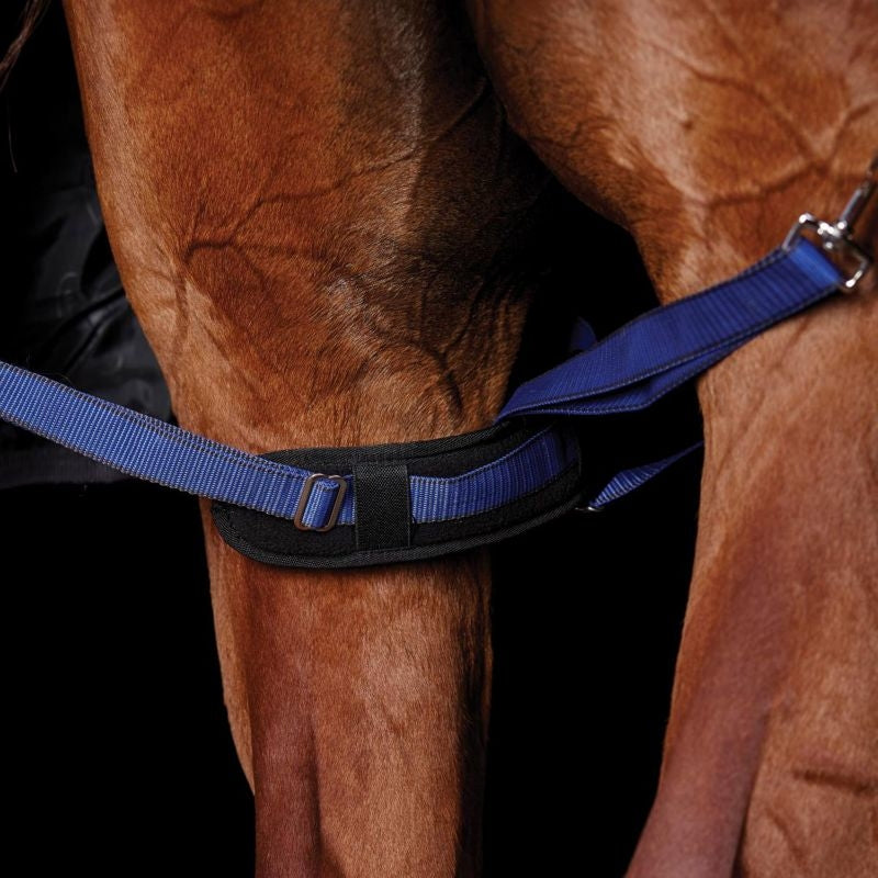 WeatherBeeta Padded Blanket Leg Straps
