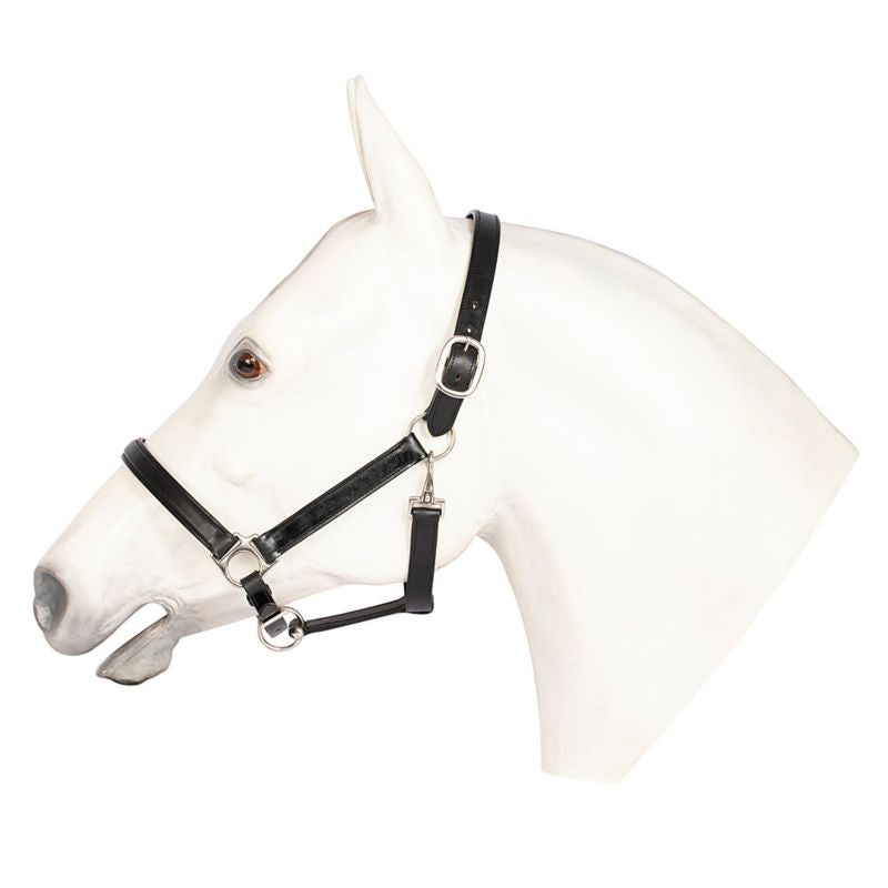 Henri De Rivel Everyday Black Halter