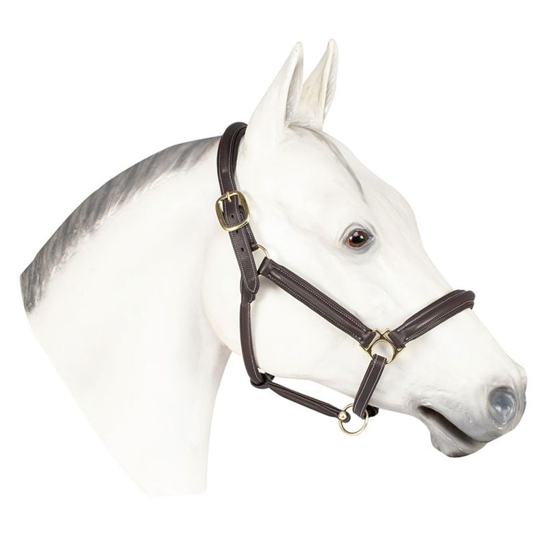 Henri De Rivel Havana Kushy Halter