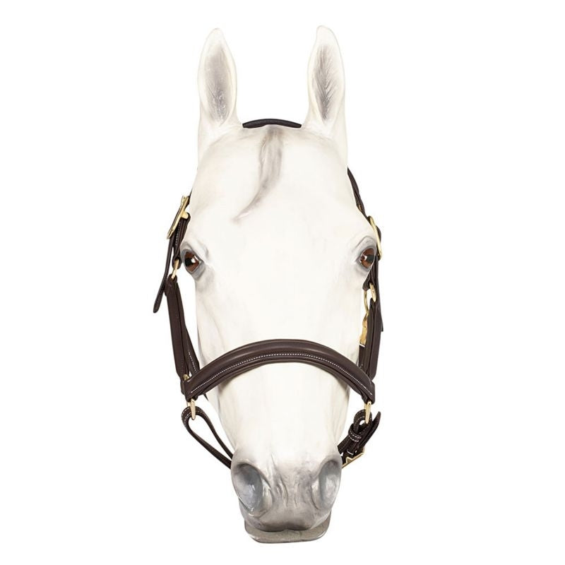 Henri De Rivel Havana Kushy Halter
