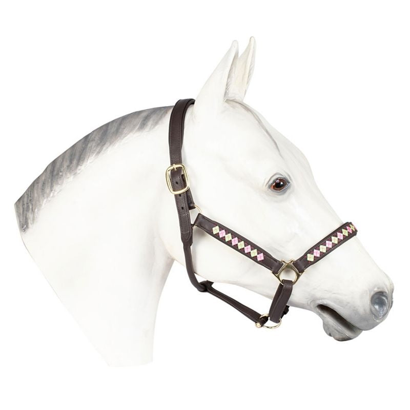 HDR Embroidered Buffy Havana Leather Halter