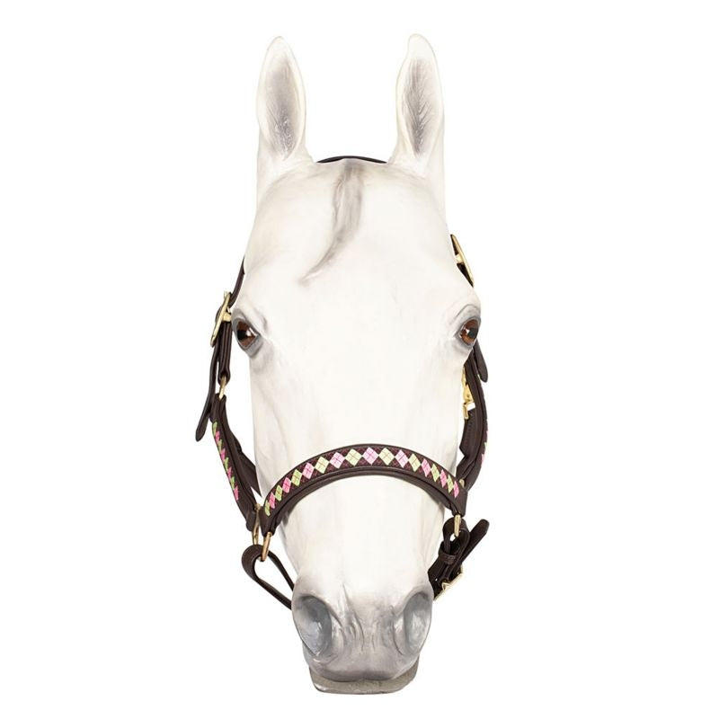 HDR Embroidered Buffy Havana Leather Halter