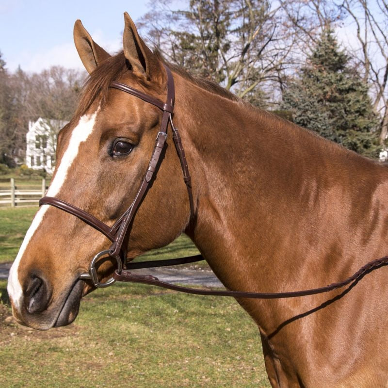 Legacy Plain Raised Snaffle Bridle