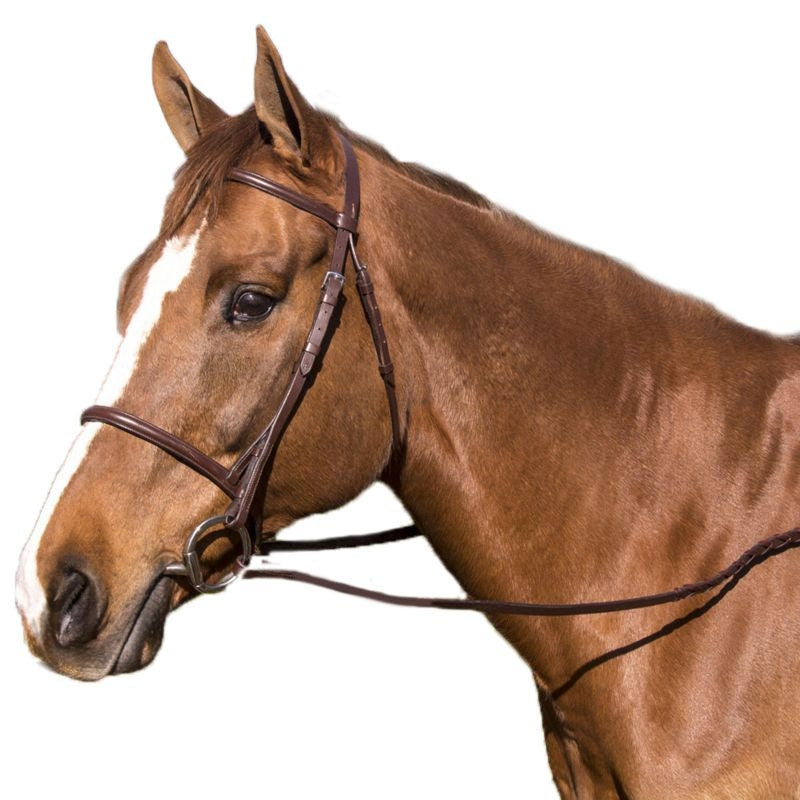 Legacy Plain Raised Snaffle Bridle