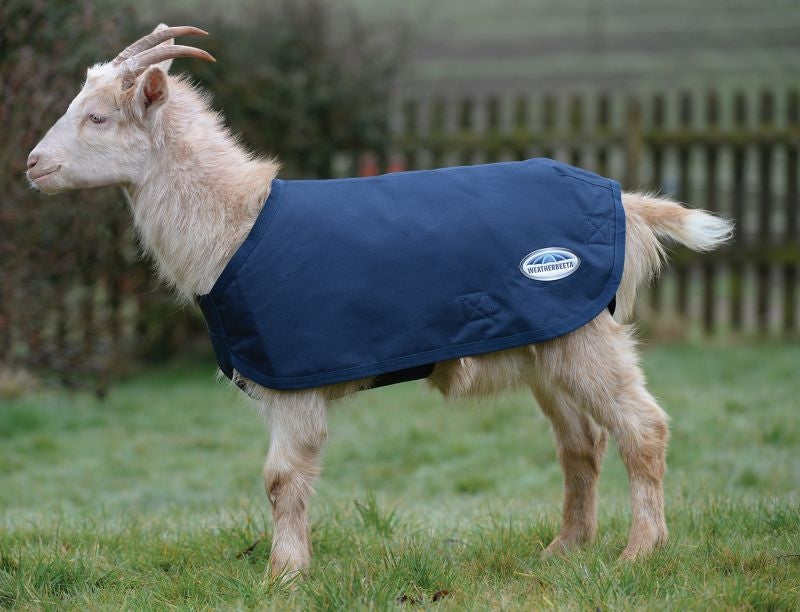 Weatherbeeta Deluxe Goat Coat