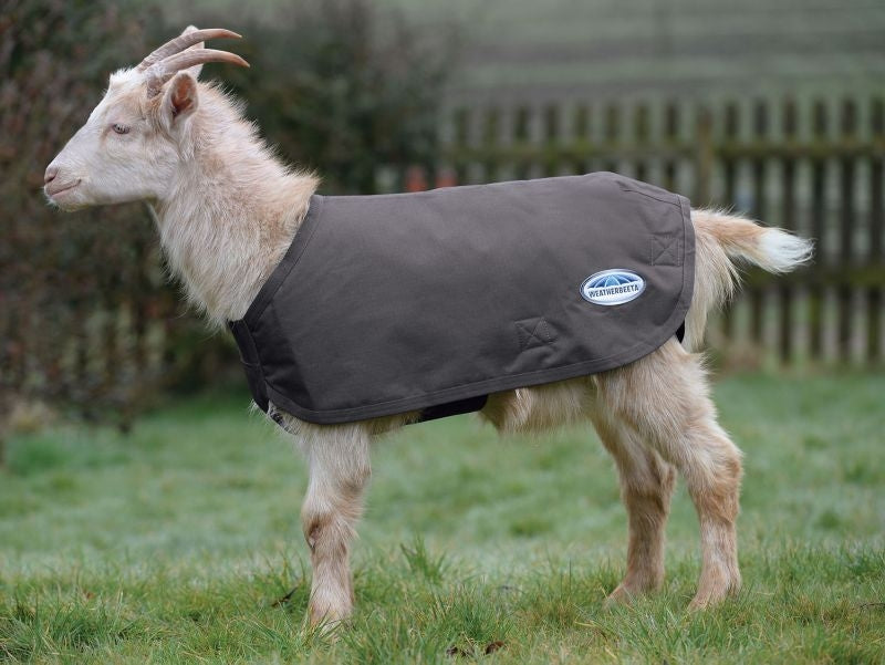 Weatherbeeta Deluxe Goat Coat