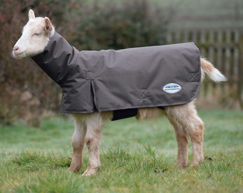 Weatherbeeta Deluxe Goat Coat with Neck