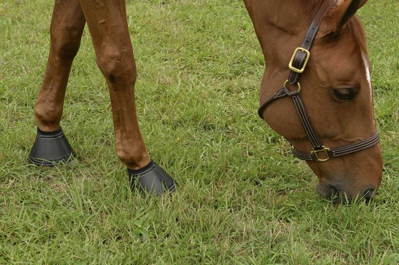 EquiFit Essential Bell Boots