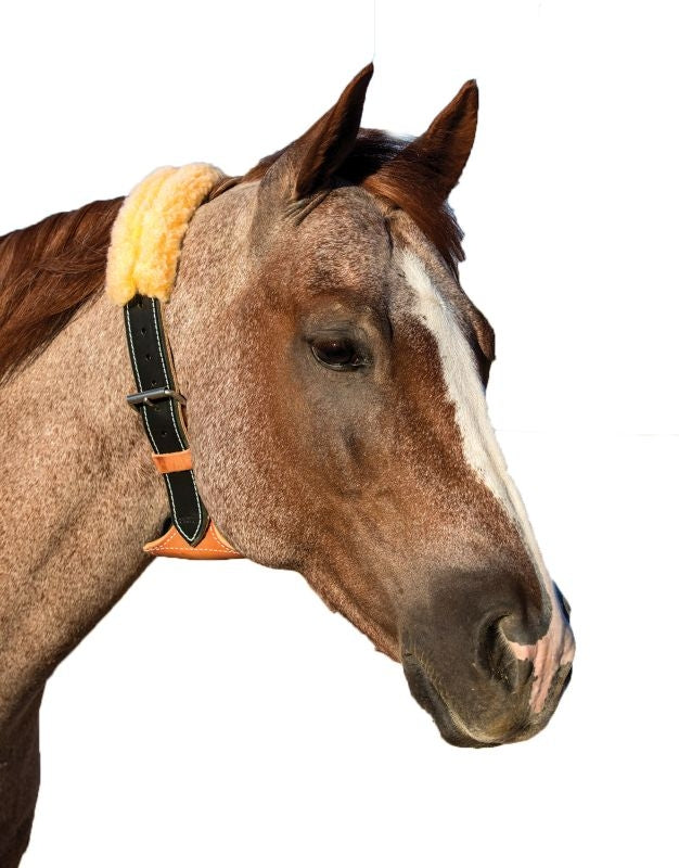 The Dare Cribbing Collar