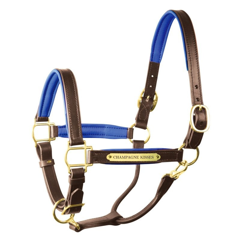 Perri's Personalized Padded Leather Halter