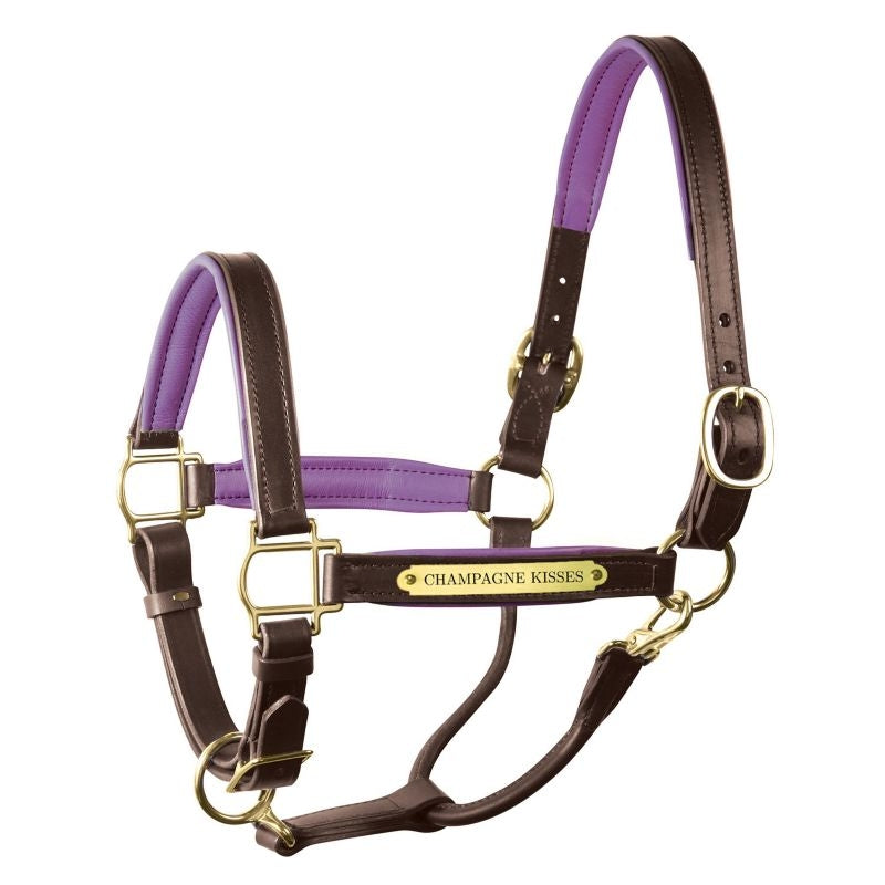 Perri's Personalized Padded Leather Halter
