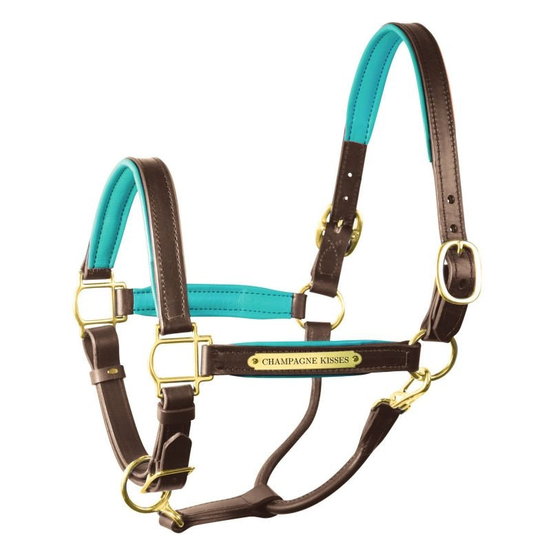 Perri's Personalized Padded Leather Halter