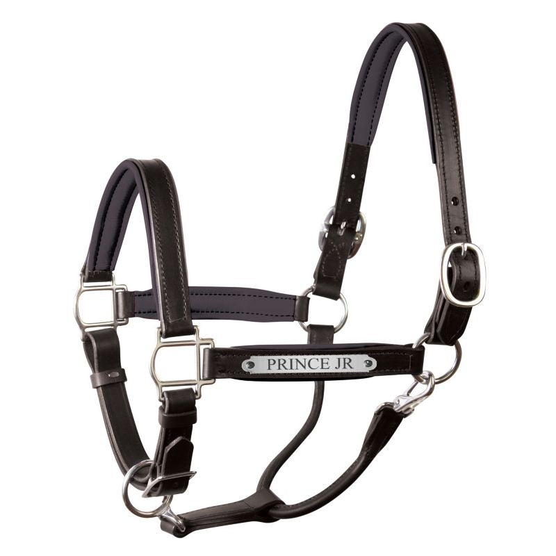 Perri's Soft Padded Leather Halter
