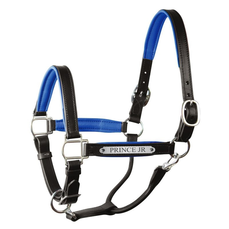 Perri's Personalized Padded Leather Halter