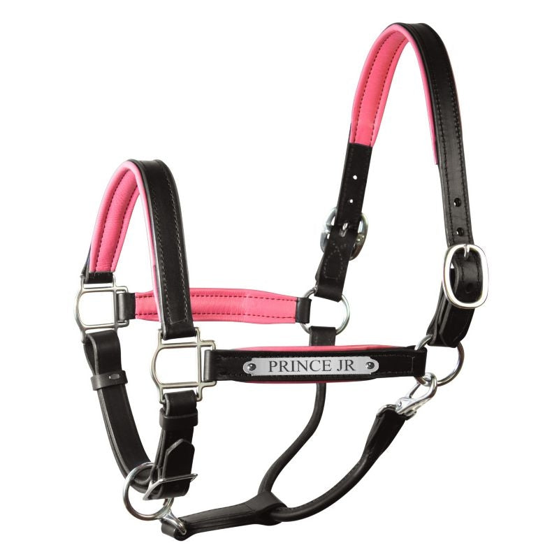 Perri's Personalized Padded Leather Halter