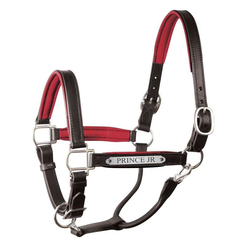 Perri's Personalized Padded Leather Halter