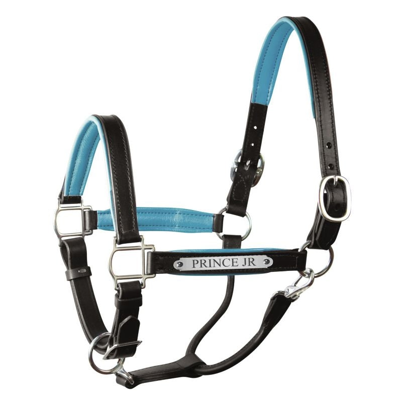 Perri's Personalized Padded Leather Halter