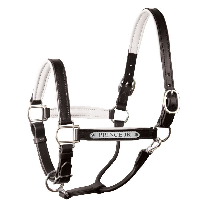 Perri's Personalized Padded Leather Halter