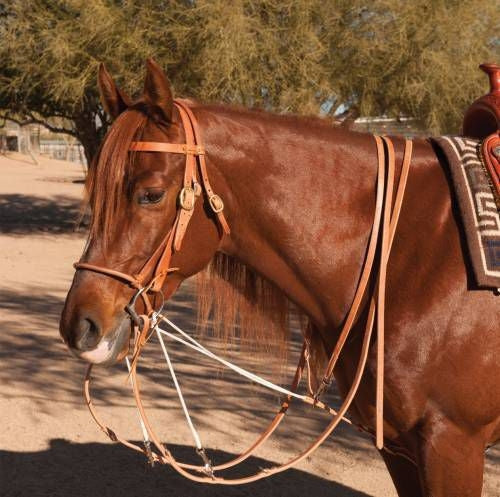 Al Dunning by Pro Choice Martingale with Split Reins