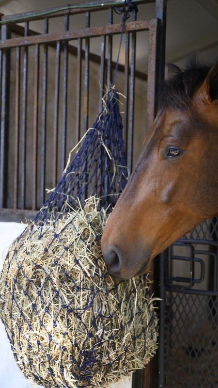 Gatsby Slow Feed Hay Net