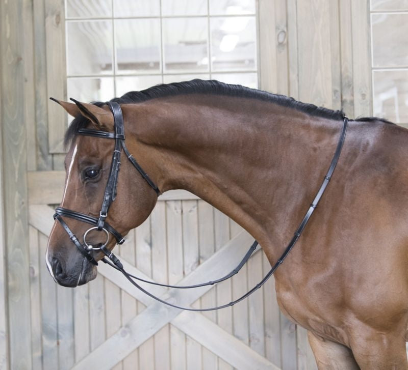 DaVinci Raise Comfort Dressage Bridle/Flash