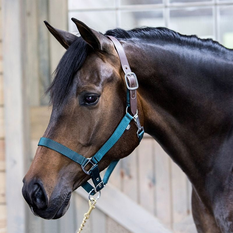 Gatsby Nylon Breakaway Halter