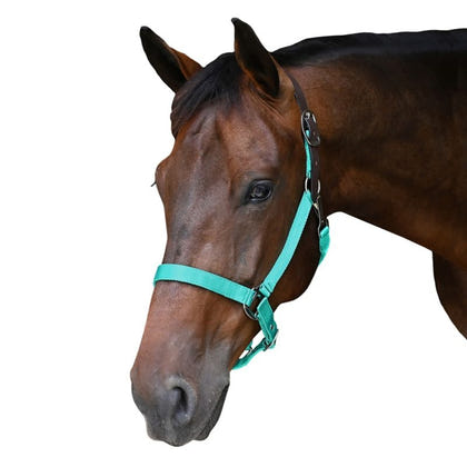 Gatsby Nylon Breakaway Halter