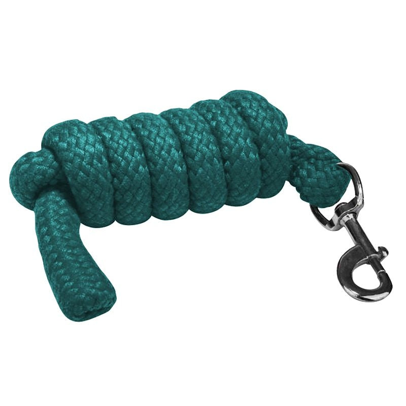 Gatsby Acrylic 6ft Lead Rope