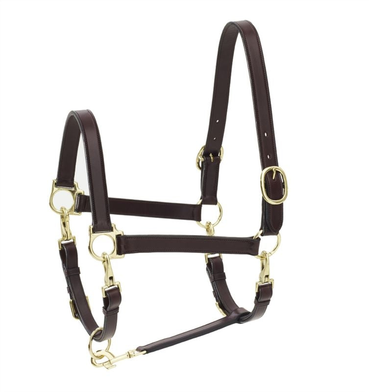 Ovation Elite 4-Way Grooming Halter Horse Dk Brown