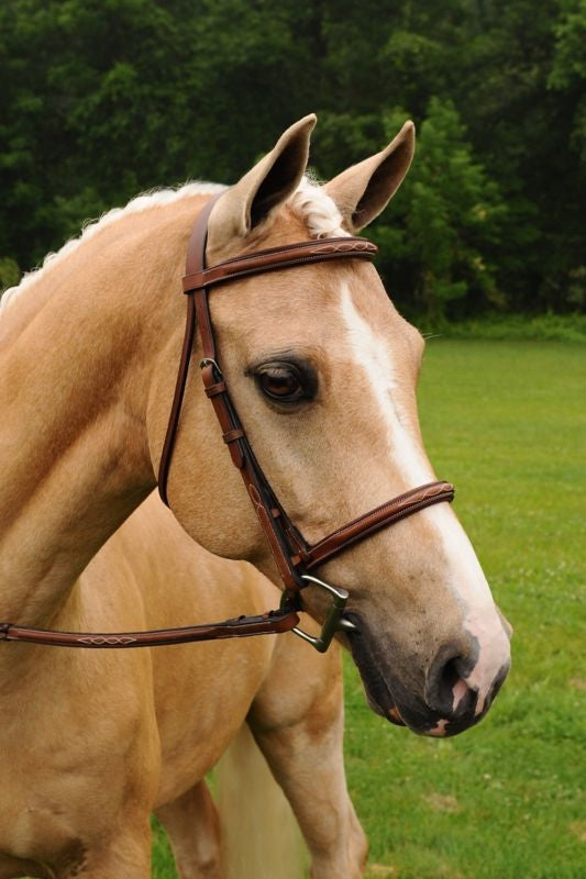 Arc de Triomphe Imperial Bridle