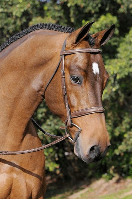 Arc de Triomphe Tribute Bridle with Reins