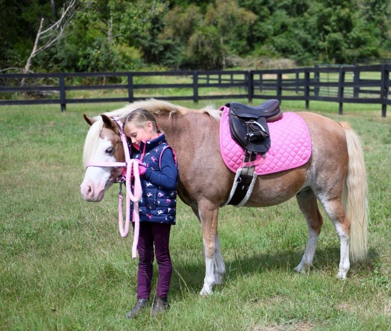 Gatsby Basic All-Purpose Saddle Pad