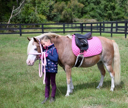 Gatsby Basic All-Purpose Saddle Pad