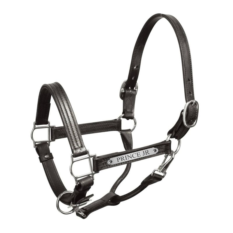 Perri's Personalized Premium 1" Show Halter