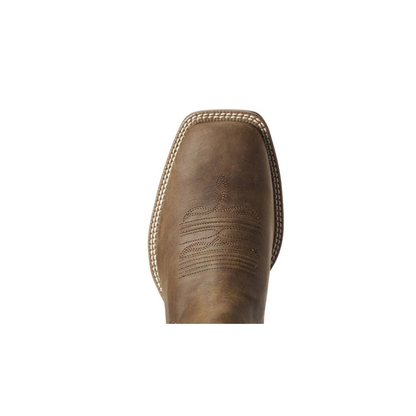 TE031382_toe.jpg