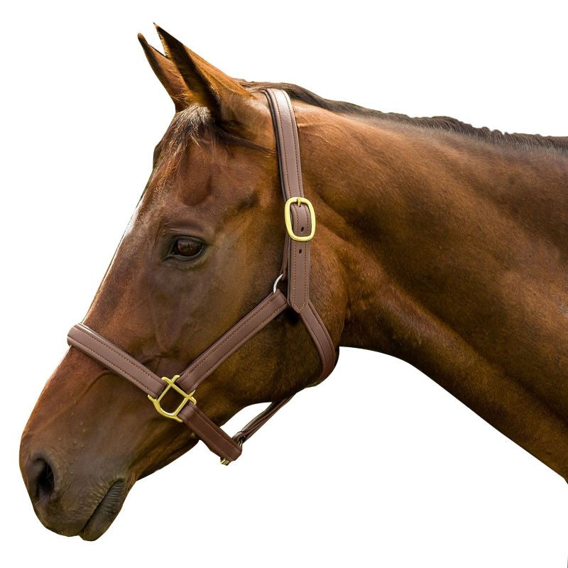 Henri de Rivel Vegan-X Leather Halter