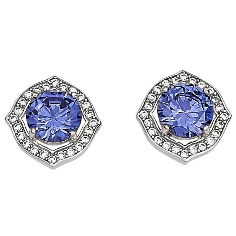 Kelly Herd Blue with Clear Accents Earrings