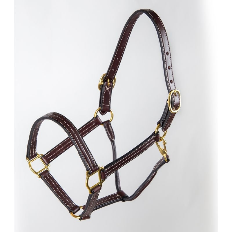 Tory Traditional ProKentucky Halter