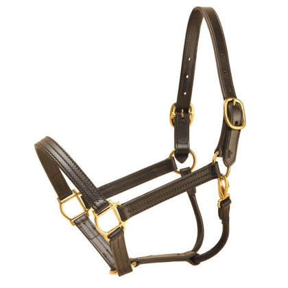 Tory ProKentucky Track Halter