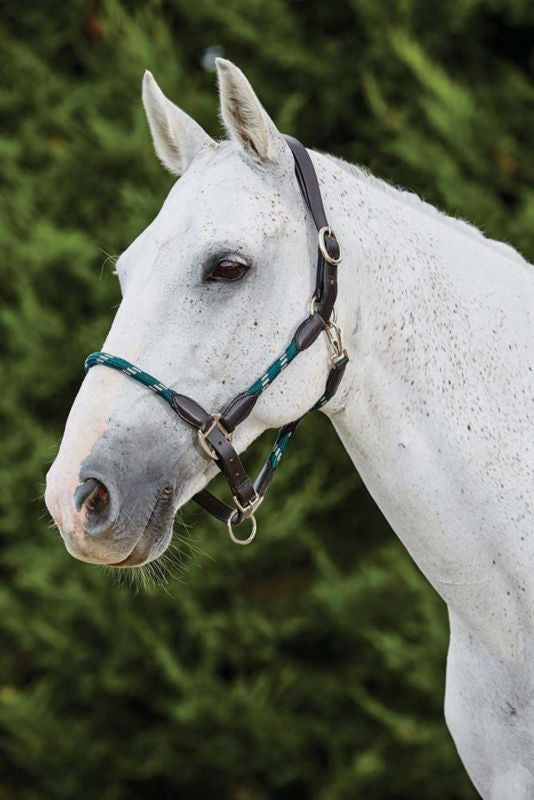 Kincade Leather Rope Headcollar