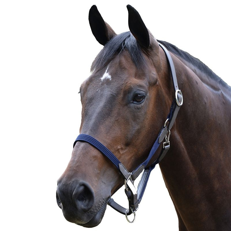 Kincade Leather Web Headcollar