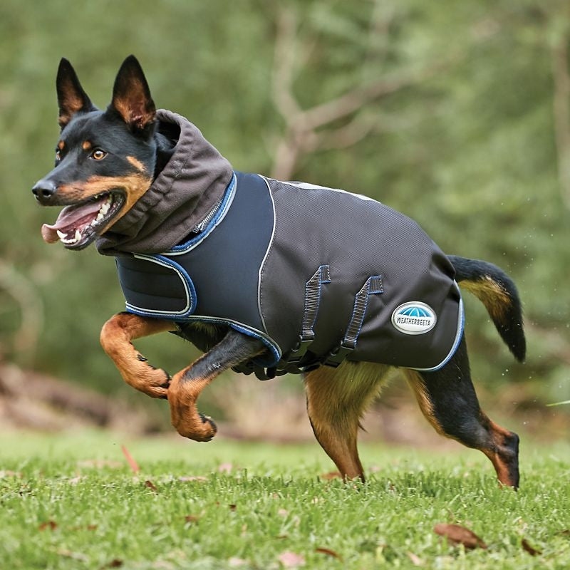 Weatherbeeta Comfitec Ultra Cozi Dog Coat