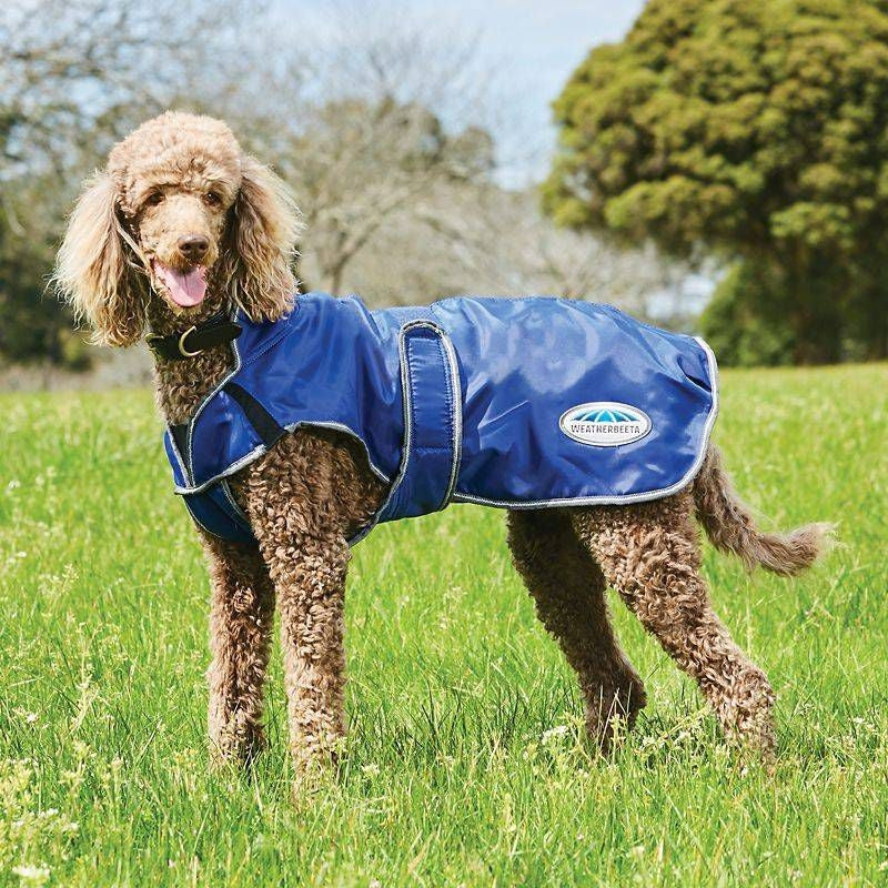 WB Comfitec Windbreaker Deluxe Dog Coat 30 Purple