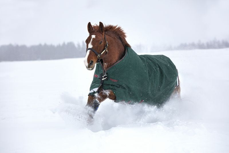 Rambo Original Arch Blanket 100g