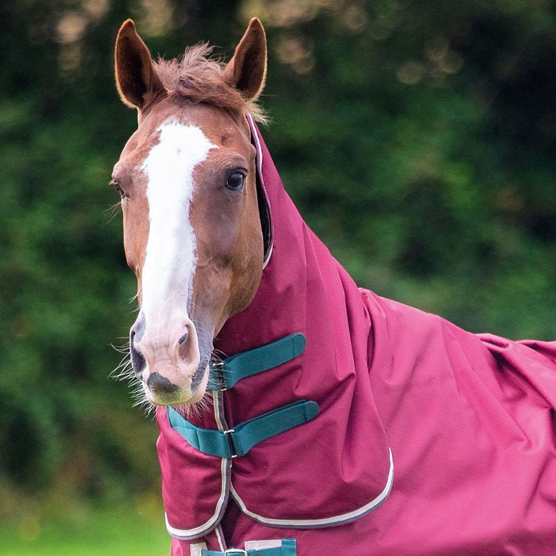 Shires Tempest Org 200g Hood