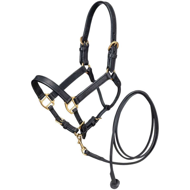 Ozark Mini Leather Halter