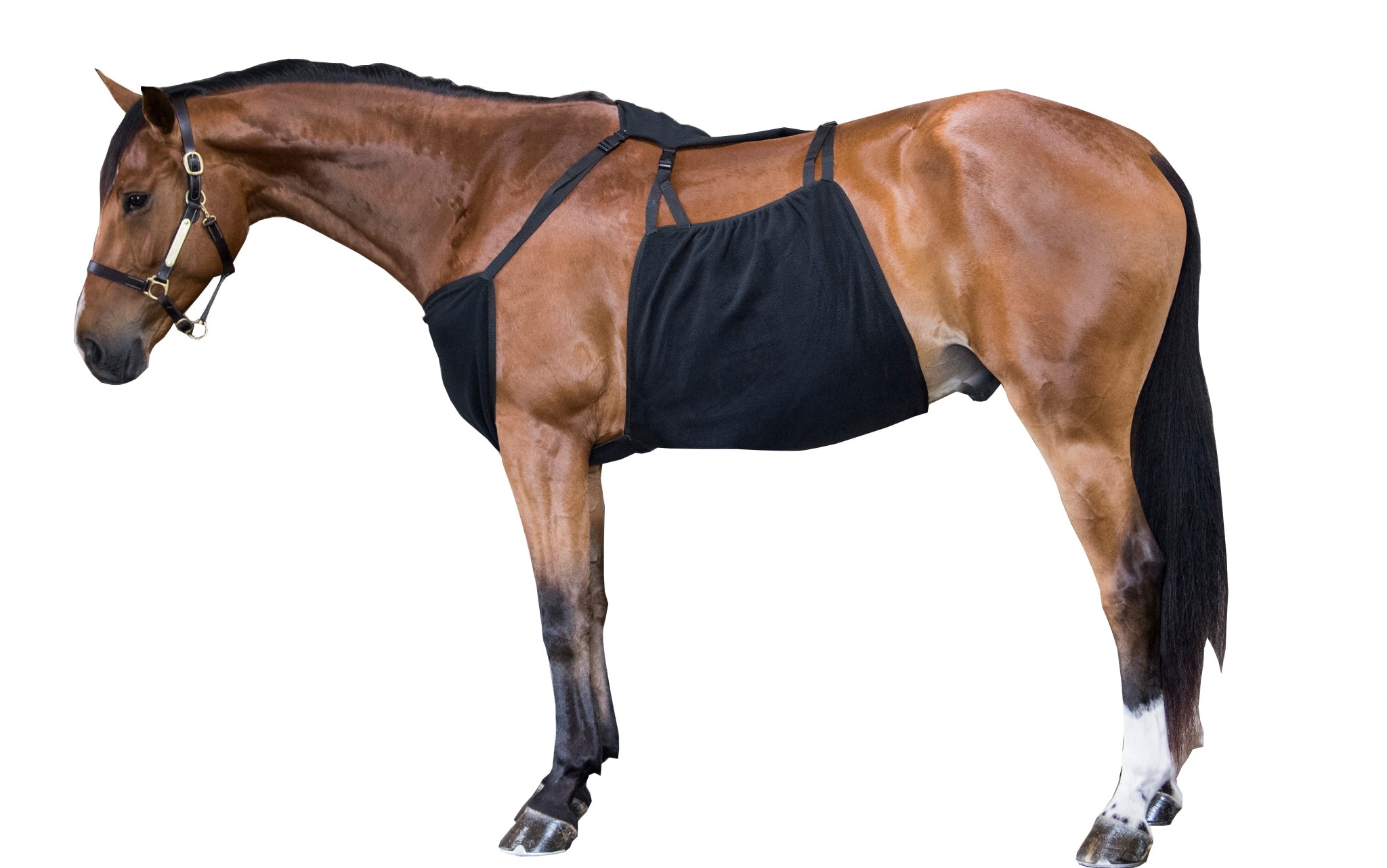 WikSmart Premium Cooler